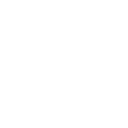 然-NEN-